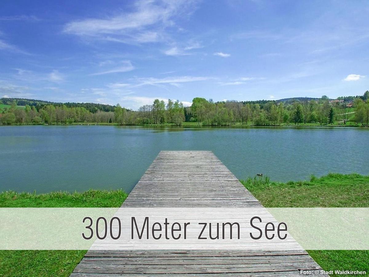 Huette41: Ganze Huette Nah Am See Mit Privatem Whirlpool, Sauna. Umzaeunt. Waldkirchen Bagian luar foto