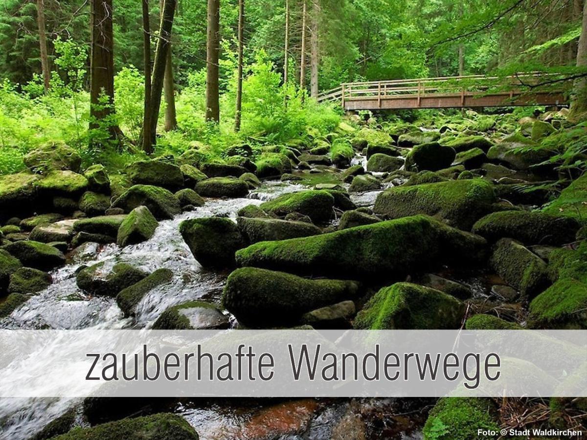 Huette41: Ganze Huette Nah Am See Mit Privatem Whirlpool, Sauna. Umzaeunt. Waldkirchen Bagian luar foto