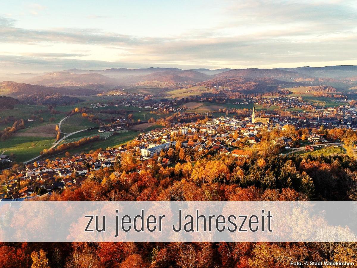 Huette41: Ganze Huette Nah Am See Mit Privatem Whirlpool, Sauna. Umzaeunt. Waldkirchen Bagian luar foto