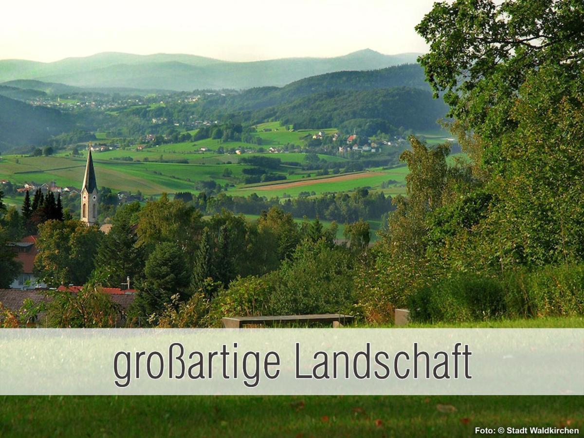 Huette41: Ganze Huette Nah Am See Mit Privatem Whirlpool, Sauna. Umzaeunt. Waldkirchen Bagian luar foto