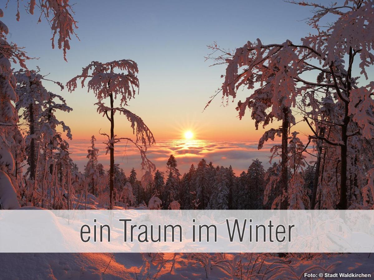 Huette41: Ganze Huette Nah Am See Mit Privatem Whirlpool, Sauna. Umzaeunt. Waldkirchen Bagian luar foto