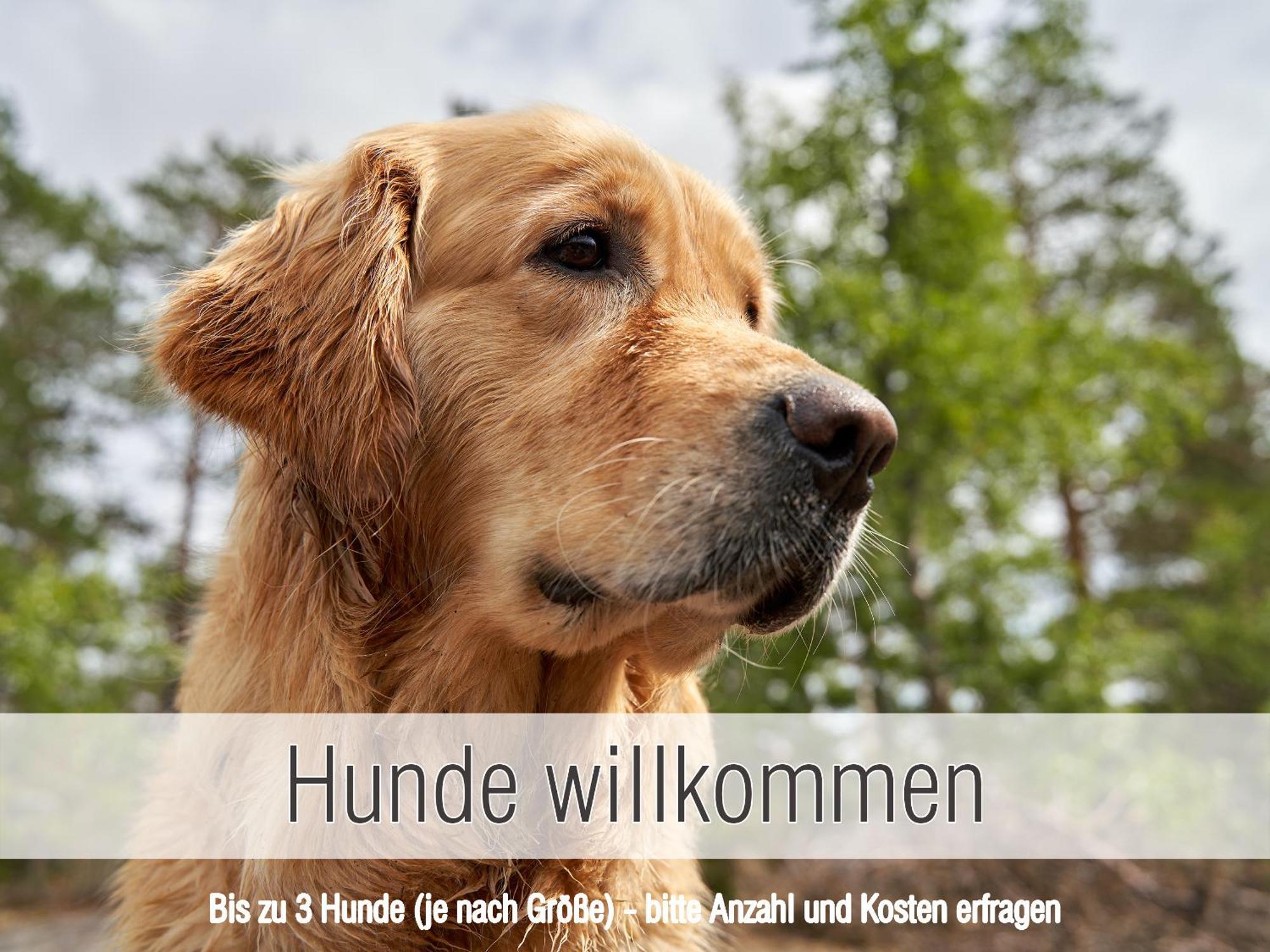 Huette41: Ganze Huette Nah Am See Mit Privatem Whirlpool, Sauna. Umzaeunt. Waldkirchen Bagian luar foto